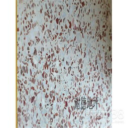 湛江水磨石施工隊(duì)與天津環(huán)氧地坪漆施工的專(zhuān)業(yè)解析