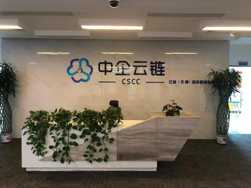 中企云鏈 安心扎根，舒心發展，創新金融科技服務與信息技術咨詢